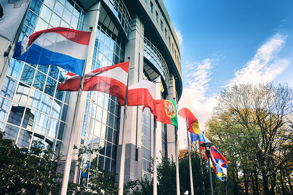 Flagi krajów przed Parlamentem Europejskim